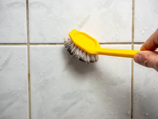 Best Office Mold Removal Services  in Paddock Lake, WI