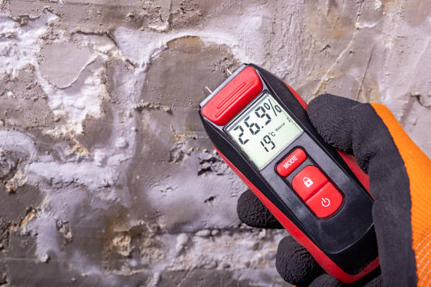Best Mold Testing  in Paddock Lake, WI